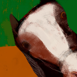 Trot Trote de caballo